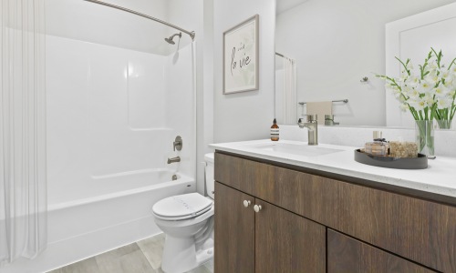 Bathroom Cover Image