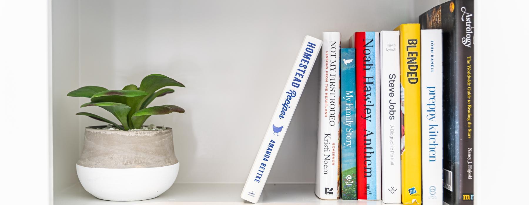 a white shelf with books and a plant on it